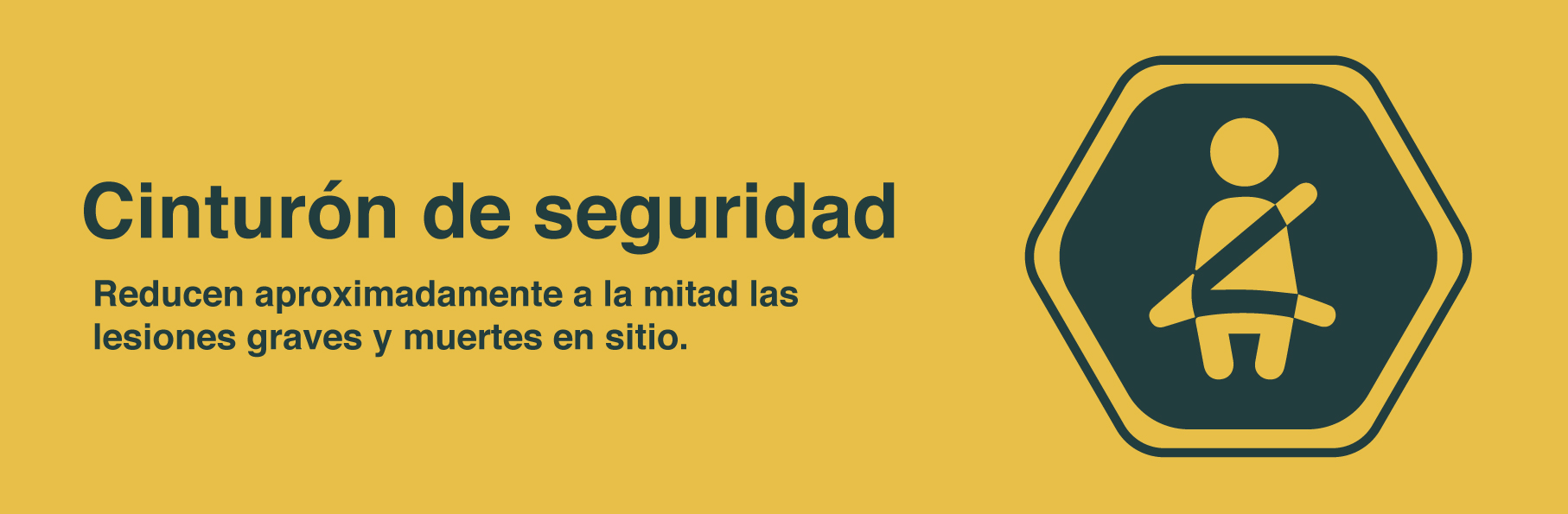 5 aditamentos d seguridad pasiva para vehículos