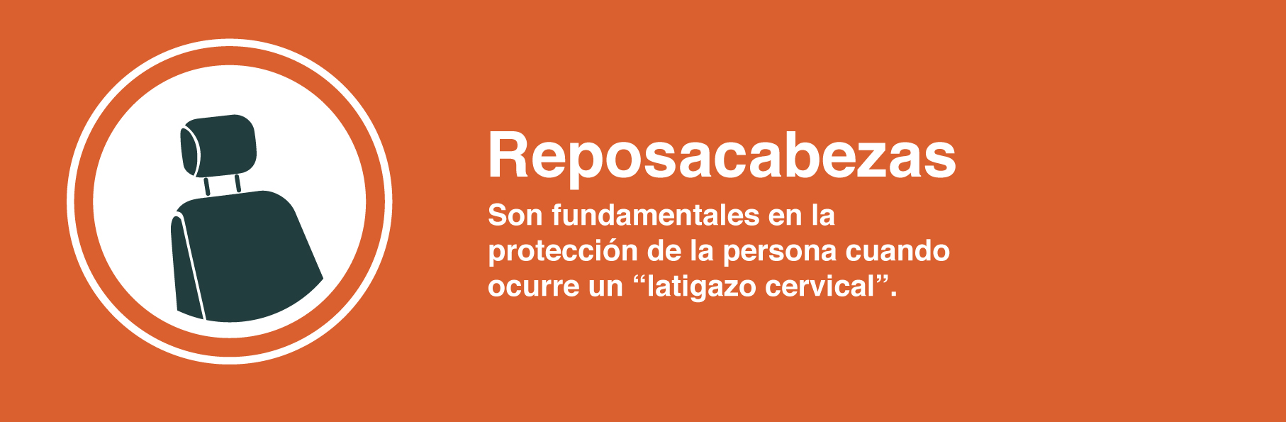 5 aditamentos seguridad pasiva para vehículos