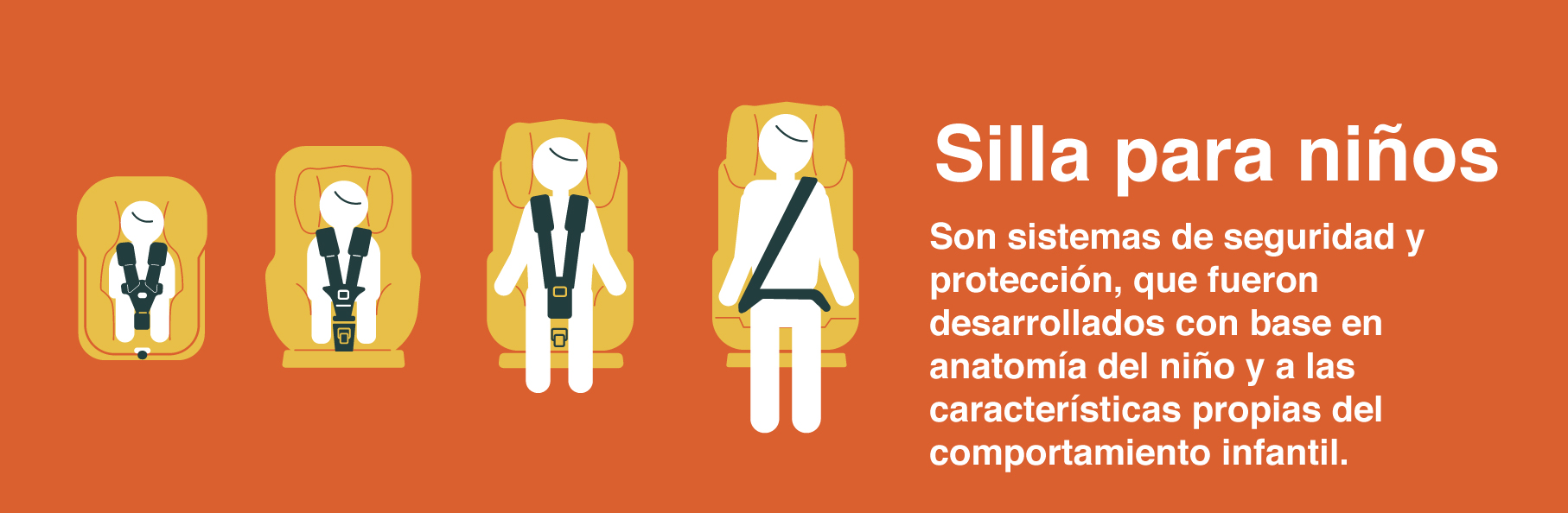 5 aditamentos seguridad pasiva vehículos