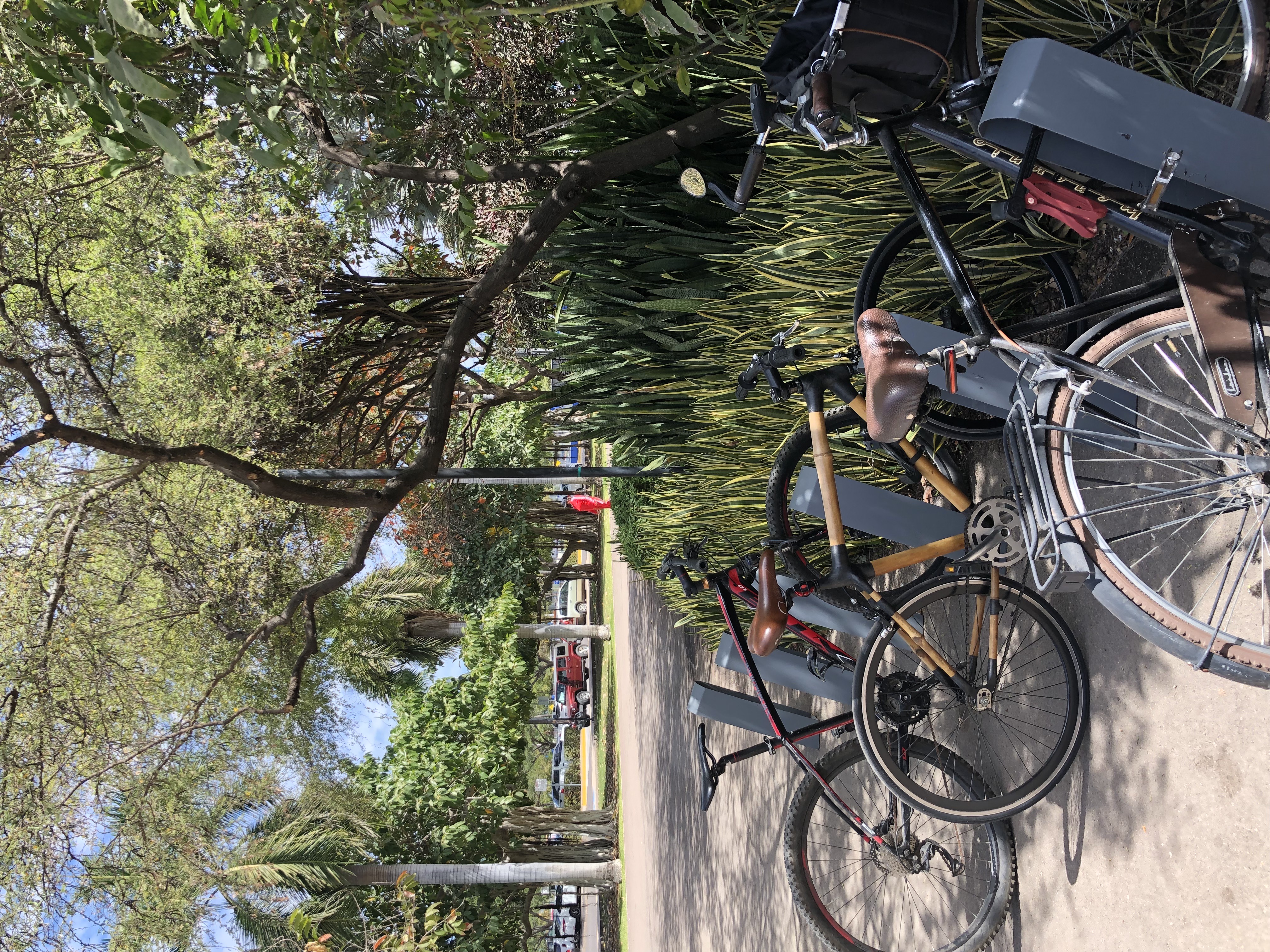 Culiacán en bici, mi experiencia