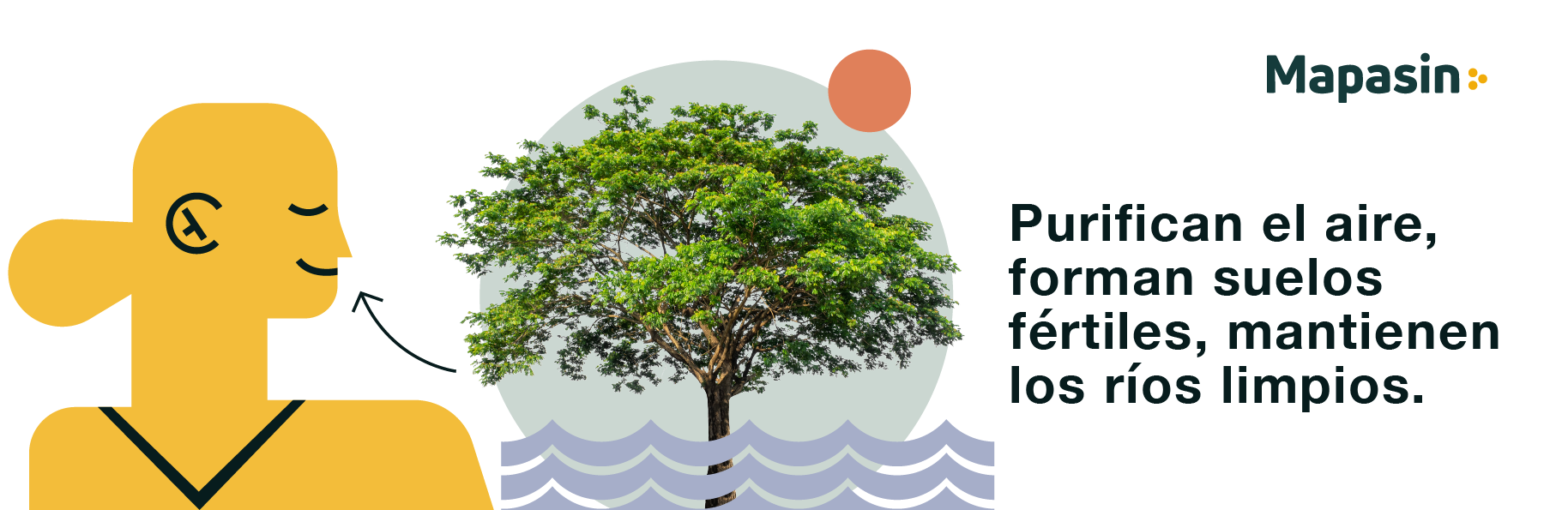 la importancia de los árboles en la ciudad