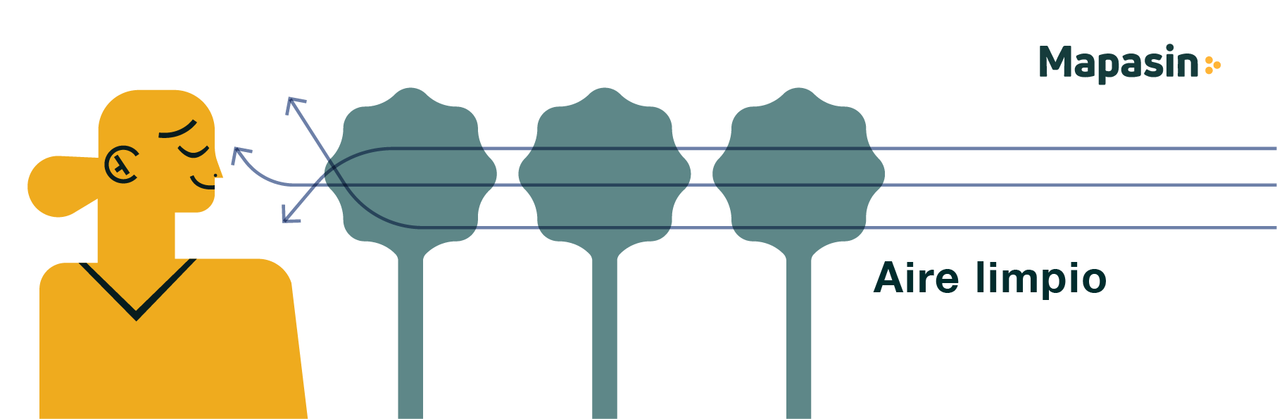 Importancia de áreas verdes en ciudades