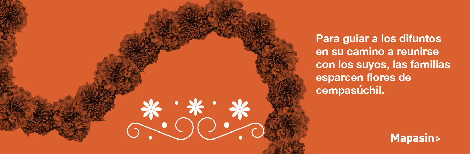 5 datos interesantes sobre el Día d Muertos México y cómo se vive espacio público