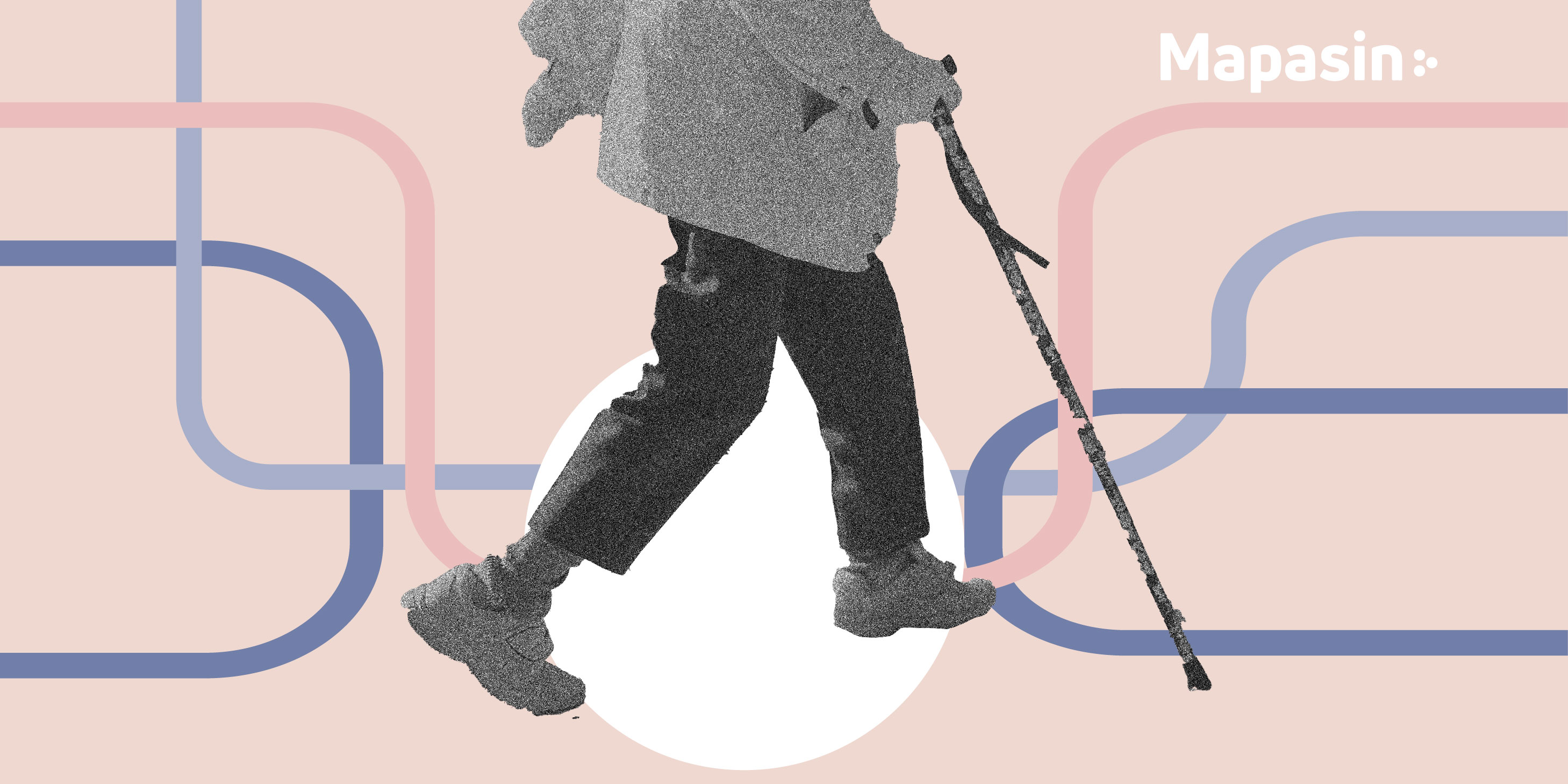 Calles peatonales: espacios vitales para la movilidad urbana | Mapasin