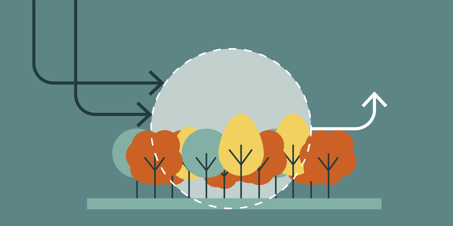 ¿Cuál es la diferencia entre sustentable y sostenible? | Mapasin