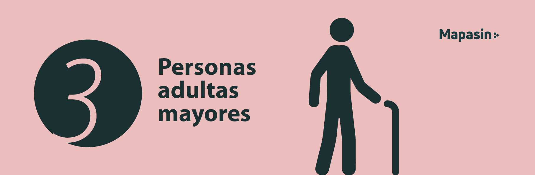 Conoce los 5 tipos de peatones que existen