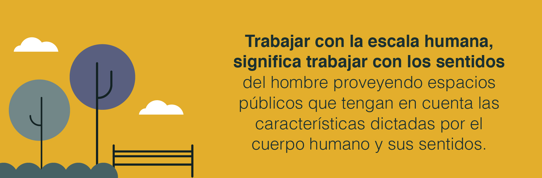  sentidos y cómo juegan un papel importante en la escala de la ciudad